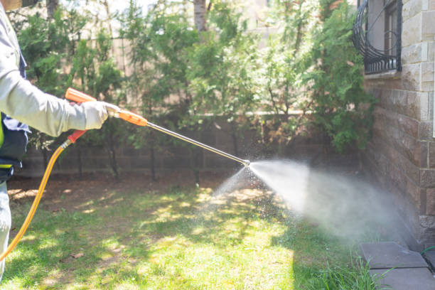 Best Mosquito Control Services  in Phelan, CA
